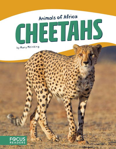 Cover for Mary Meinking · Animals of Africa: Cheetahs (Paperback Book) (2017)