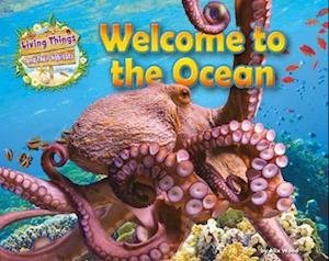 Welcome to the Ocean - Living Things and their Habitats - Alix Wood - Kirjat - Ruby Tuesday Books Ltd - 9781788563253 - perjantai 16. kesäkuuta 2023