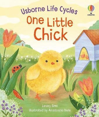 Cover for Lesley Sims · One Little Chick - Life Cycles (Tavlebog) (2024)