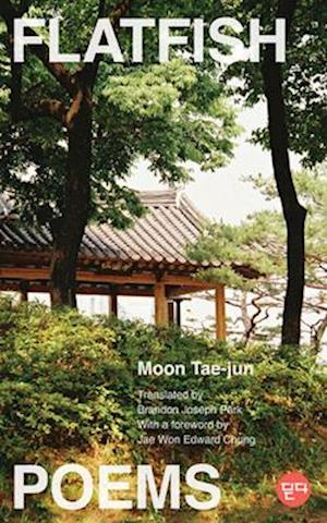 Cover for Moon Tae-jun · Flatfish: Poems - DITTA: Korean Humanities in Translation (Paperback Book) [Bilingual edition, Bilingual edition] (2025)