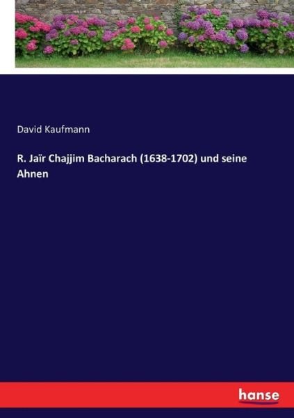 Cover for Kaufmann · R. Jaïr Chajjim Bacharach (163 (Buch) (2016)