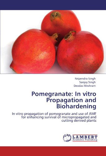 Cover for Deodas Meshram · Pomegranate: in Vitro Propagation and Biohardening: in Vitro Propagation of Pomegranate and Use of Amf for Enhancing Survival of Micropropagated and Cutting Derived Plants (Paperback Bog) (2012)