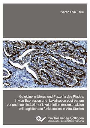 Cover for Sarah Eva Laue · Galektine in Uterus und Plazenta des Rindes. in vivo-Expression und -Lokalisation post partum vor und nach induzierter lokaler Inflammationsreaktion mit begleitenden funktionellen in vitro-Studien (Paperback Book) (2014)
