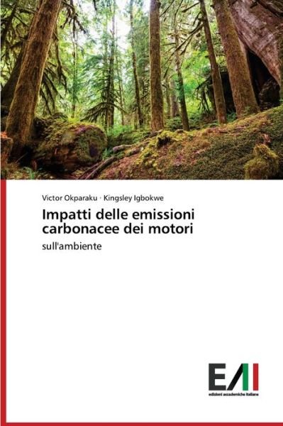 Cover for Okparaku · Impatti delle emissioni carbon (Bok) (2020)