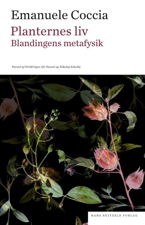 Cover for Emanuele Coccia · Sociologi: Planternes liv (Poketbok) [1:a utgåva] (2021)
