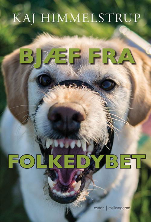 Bjæf fra folkedybet - Kaj Himmelstrup - Bøger - Forlaget mellemgaard - 9788771904253 - 26. juni 2017