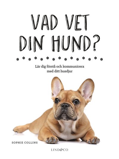 Cover for Sophie Collins · Vad vet din hund? : lär dig förstå och kommunicera med ditt husdjur (Bound Book) (2018)