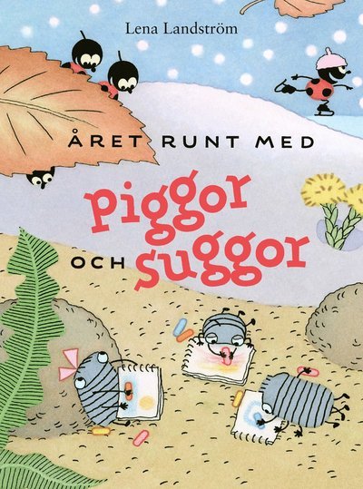 Cover for Lena Landström · Året runt med piggor och suggor (Inbunden Bok) (2022)