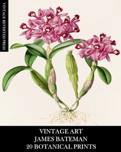 Vintage Art: James Bateman: 20 Botanical Prints: Orchid Ephemera for Framing, Home Decor, Collage and Decoupage - Vintage Revisited Press - Książki - Blurb - 9798210004253 - 23 sierpnia 2024