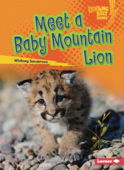 Cover for Whitney Sanderson · Meet a Baby Mountain Lion (Buch) (2023)