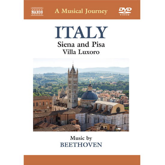 Cover for Ludwig Van Beethoven · A Musical Journey:italy, Siena &amp; Pisa (DVD) (2013)