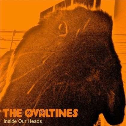 Inside Our Heads - Ovaltines - Music - The Blurry World - 0885767419254 - March 6, 2012