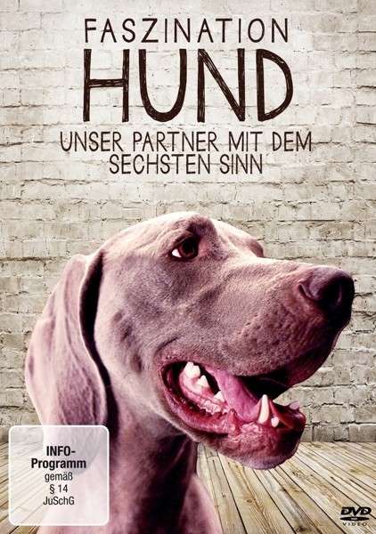 Cover for Faszination Hund-unser Partner Mit Dem (DVD) (2014)