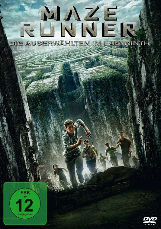 Cover for Maze Runner - Die Auserwählten Im Labyrinth (DVD) (2015)