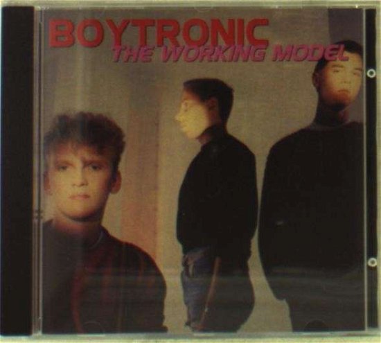 Cover for Boytronic · Working Model (CD) (2002)
