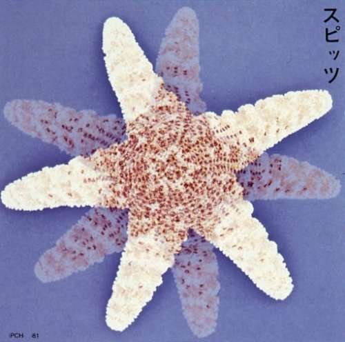 Cover for Spitz (CD) [Japan Import edition] (2008)