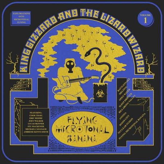 Flying Microtonal Banana - King Gizzard & The Lizard Wizzard - Music - HEAVENLY REC. - 5414939950254 - February 23, 2017