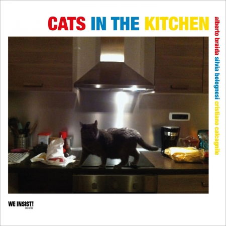 Cover for Braida / Bolognesi / Calcag · Cats In The Kitchen (CD)