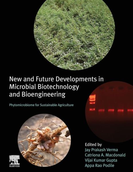 Cover for Jay Prakash Verma · New and Future Developments in Microbial Biotechnology and Bioengineering: Phytomicrobiome for Sustainable Agriculture (Paperback Book) (2020)