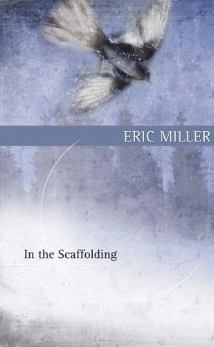 In the Scaffolding - Eric Miller - Books - Goose Lane Editions - 9780864924254 - April 18, 2005