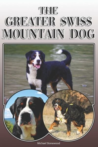 Cover for Michael Stonewood · The Greater Swiss Mountain Dog (Paperback Book) (2019)