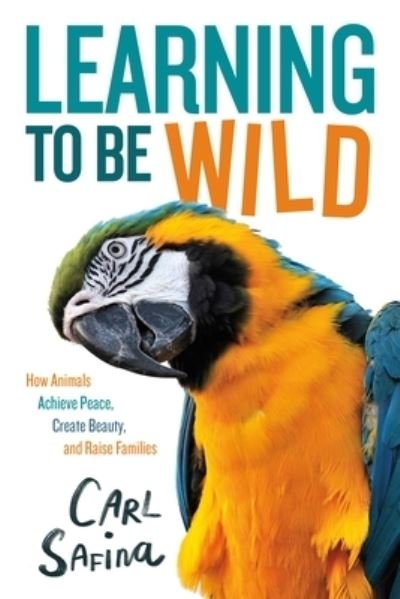 Cover for Carl Safina · Learning to Be Wild (A Young Reader's Adaptation): How Animals Achieve Peace, Create Beauty, and Raise Families (Hardcover bog) (2023)