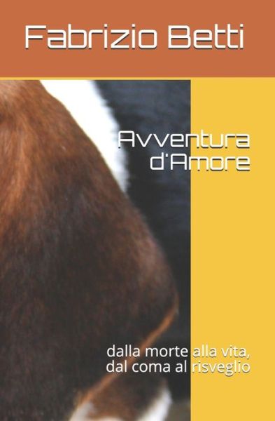 Cover for Fabrizio Betti Effe · Avventura d'Amore (Paperback Book) (2013)