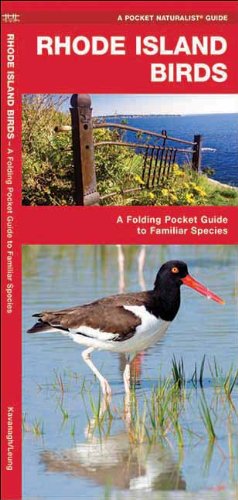 Cover for James Kavanagh · Rhode Island Birds: a Folding Pocket Guide to Familiar Species (Pocket Naturalist Guide Series) (Pamphlet) [1st edition] (2017)