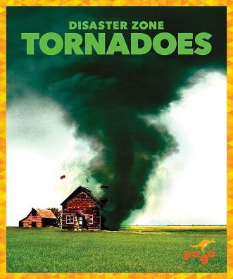 Cover for Cari Meister · Tornadoes - Disaster Zone (Innbunden bok) (2019)