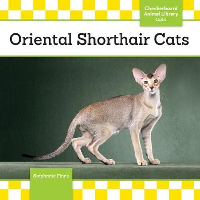 Cover for Stephanie Finne · Oriental Shorthair Cats (Cats Set 8) (Hardcover Book) (2014)