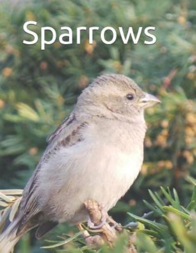 Cover for Celia Ross · Sparrows (Paperback Book) (2018)