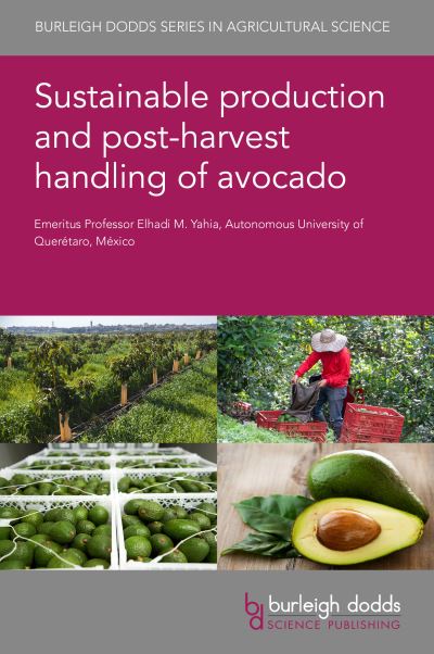 Cover for Yahia, Prof Elhadi M. (Universidad Autonoma de Queretaro) · Sustainable Production and Postharvest Handling of Avocado - Burleigh Dodds Series in Agricultural Science (Hardcover Book) (2023)