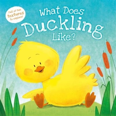 Cover for What Does Duckling Like (Book)