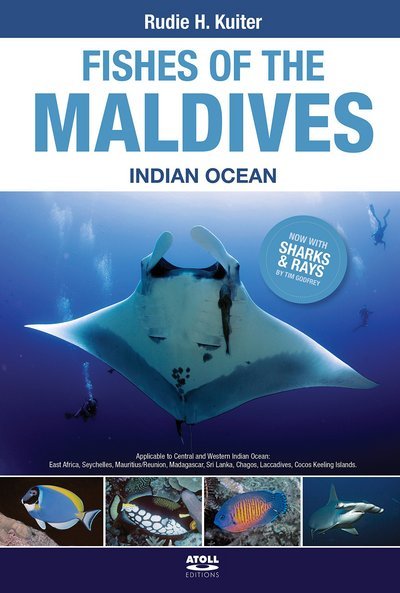 Cover for Rudie H. Kuiter · Fishes of the Maldives: Indian Ocean (Paperback Book) (2014)