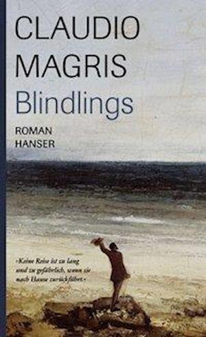 Cover for Claudio Magris · Blindlings (Buch)