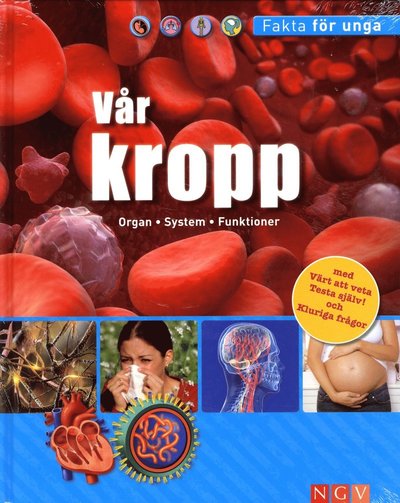 Fakta för unga: Vår kropp Organ System Funktioner - Cathleen Oswald - Books - Stevali - 9783625133254 - June 28, 2013