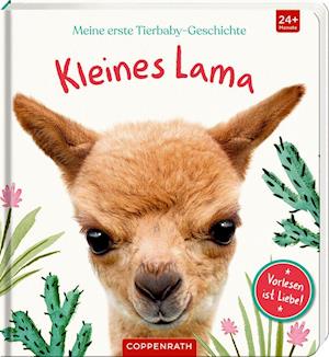 Cover for Amanda Wood · Meine erste Tierbaby-Geschichte: Kleines Lama (Board book) (2021)