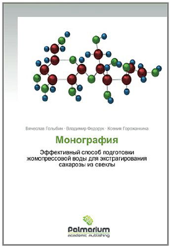 Cover for Kseniya Gorozhankina · Monografiya: Effektivnyy Sposob Podgotovki Zhomopressovoy Vody Dlya Ekstragirovaniya Sakharozy Iz Svekly (Pocketbok) [Russian edition] (2014)