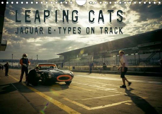 Cover for Hinrichs · Leaping Cats - Jaguar E-Types (Book)