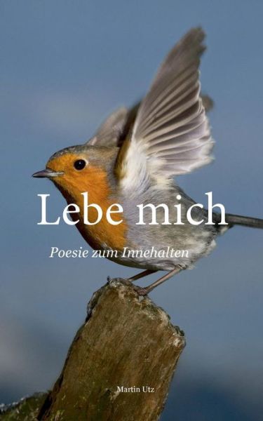 Cover for Martin Utz · Lebe Mich (Paperback Book) [German edition] (2013)