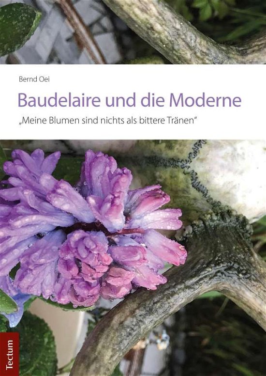 Cover for Oei · Baudelaire und die Moderne (Buch) (2020)