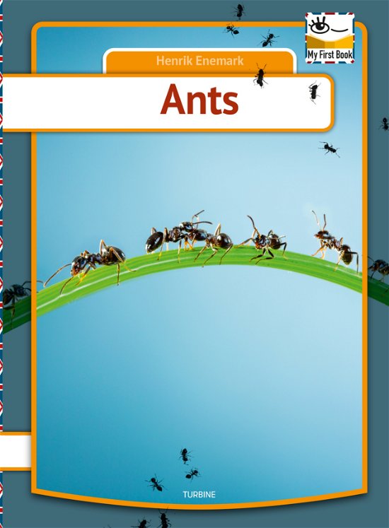 Cover for Henrik Enemark · My first book: Ants (Hardcover bog) [1. udgave] (2021)