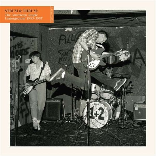 Strum & Thrum: the American Jangle Underground 1983-1987 - Various Artists - Musik - CAPTURED TRACKS - 0817949017255 - 13 november 2020