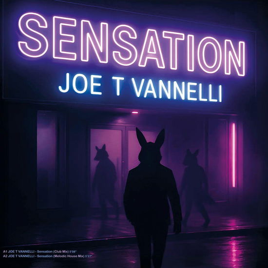 Cover for Heartha Kitt Vannelli Joe T · Sensation - Where Is My Man (LP) (2025)
