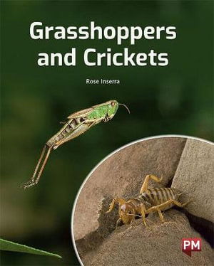 Cover for Rose Inserra · Grasshoppers and Crickets (Pocketbok)