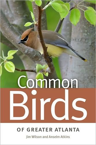 Cover for Jim Wilson · Common Birds of Greater Atlanta (Paperback Book) (2011)