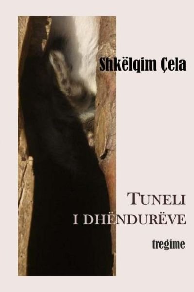 Cover for Shkelqim Cela · Tuneli I Dhendureve (Paperback Book) (2014)