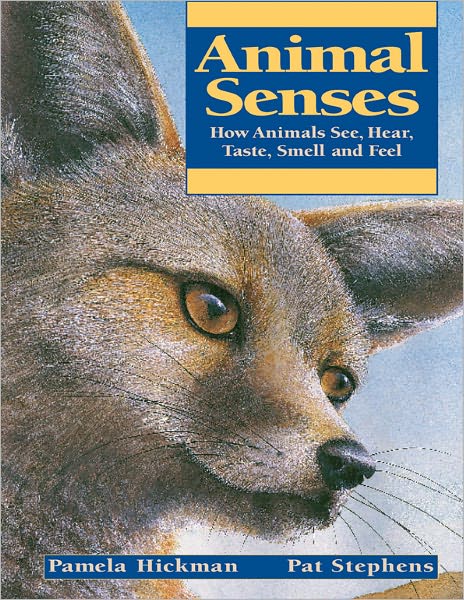 Animal Senses - Pamela Hickman - Książki - Kids Can Press - 9781550744255 - 1 kwietnia 1998