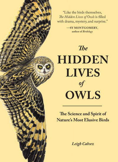 Cover for Leigh Calvez · The Hidden Lives of Owls: The Science and Spirit of Nature's Most Elusive Birds (Paperback Book) (2016)