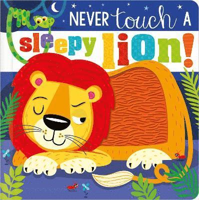 Cover for Sophie Collingwood · Never Touch a Sleepy Lion!: Never Touch a Sleepy Lion! (Inbunden Bok) (2024)